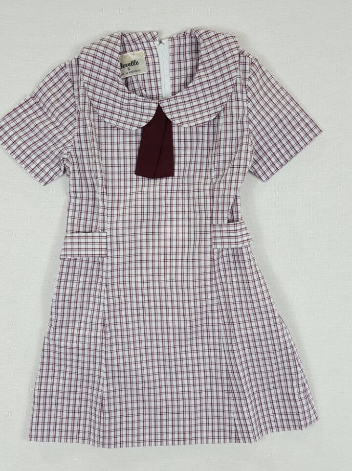 Summer Pink Check Dress