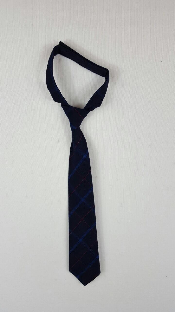 Tie Navy Check